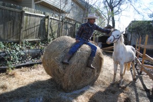 Urban cowboy canters after dream, aids local youth