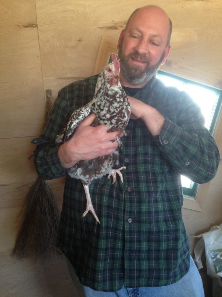 Tavern chickens bring customers smiles, extra eggs