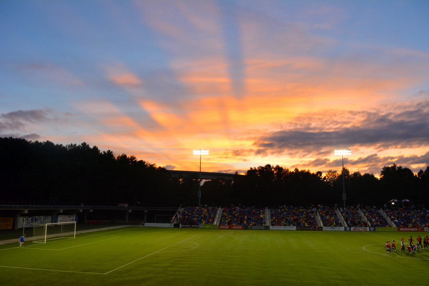 Silverbacks set to return to pitch in 2015
