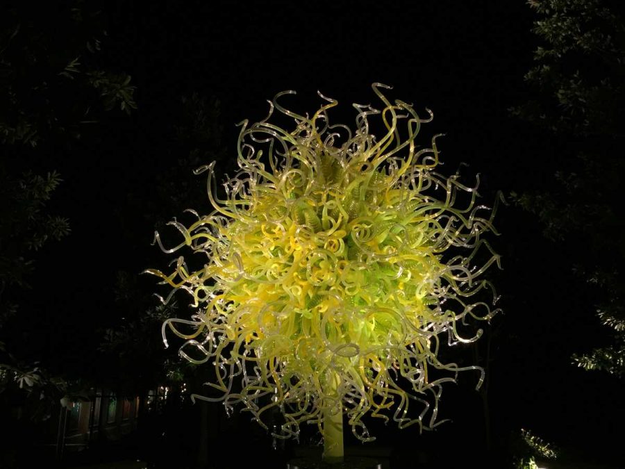 The Atlanta Botanical Gardens feature Dale Chihulys latest blown-glass sculpture.