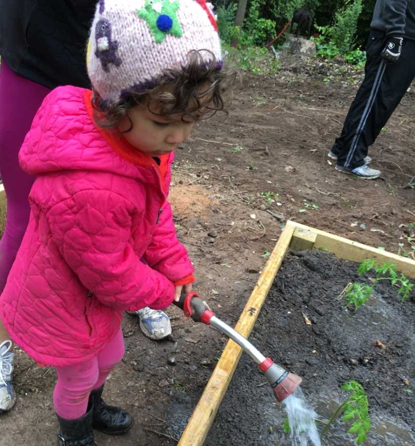 Sophie Son, local resident and aspiring gardener, helps to water vegetables.