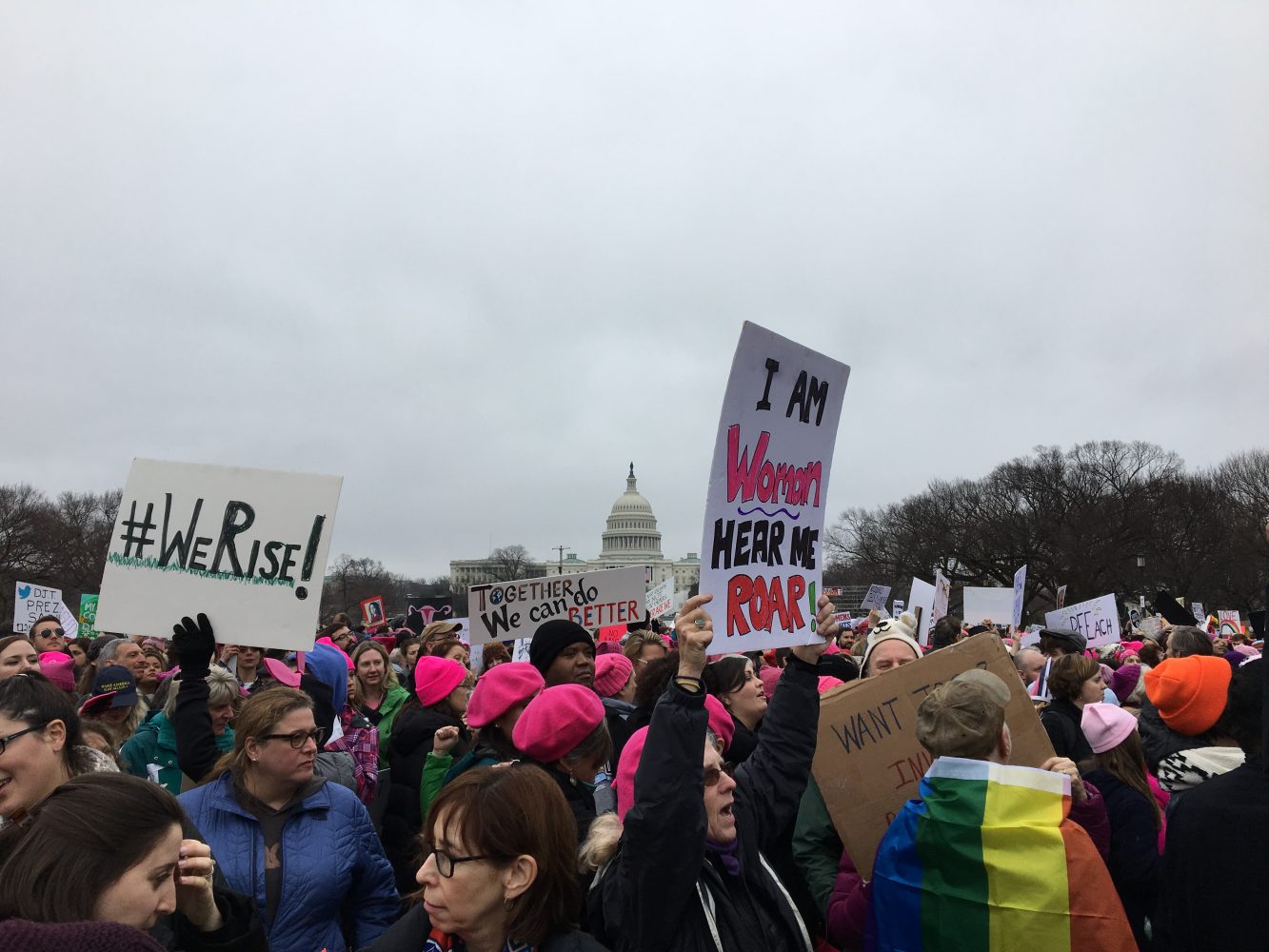 Signs+reading+I+am+woman+hear+me+roar+are+held+in+front+of+the+Capitol+building+in+Washington%2C+D.C.+