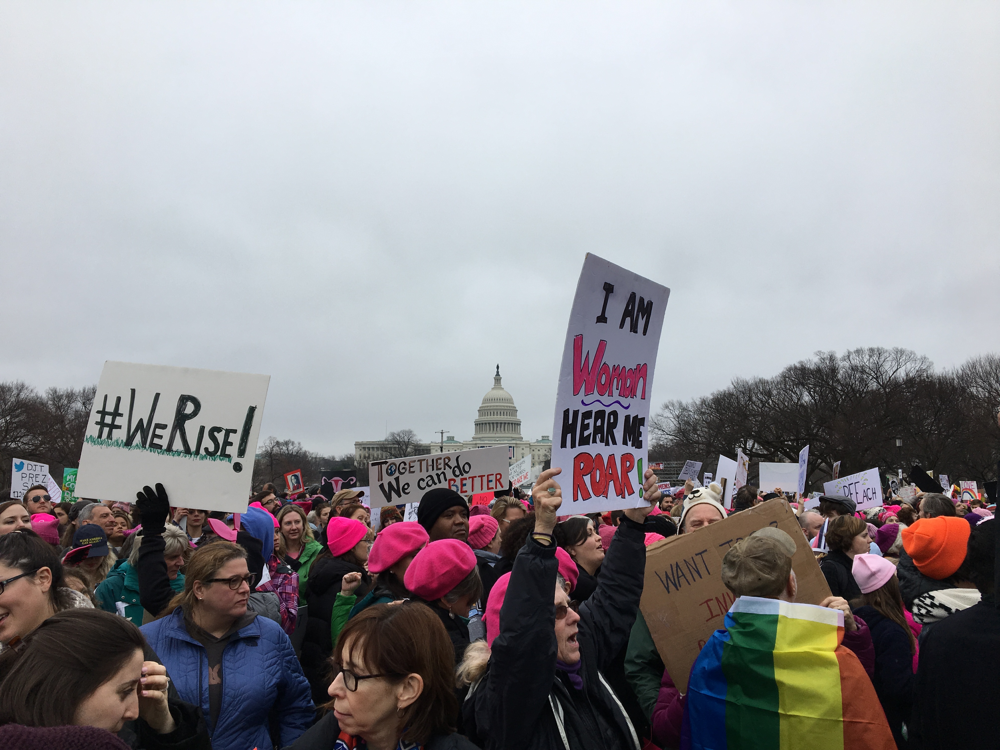 Signs reading