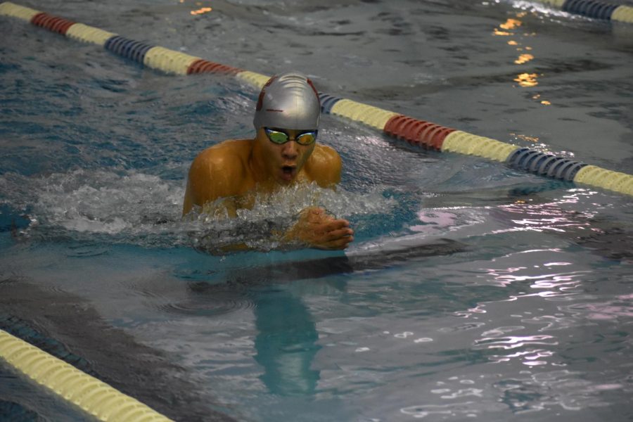 Sophomore Sebastian Gerz-Escandon comes up for a quick breath during a breaststroke race at a Tri meet at the Washington Park Natatorium pool on Nov. 14. 