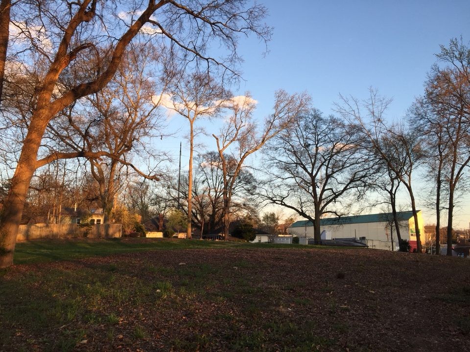 ROOM FOR GROWTH: Above is part of the area in Piedmont Park that will be developed for the construction of a residential and commercial complex, facing Monroe Dr. behind Park Tavern