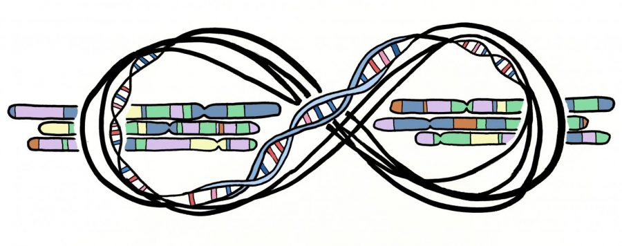 Students can buy kits from a variety of websites that allow them to test their DNA.