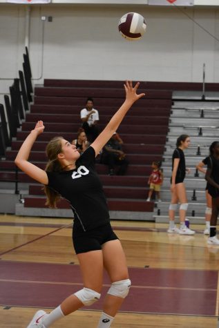 Volleyball ups training for state playoffs