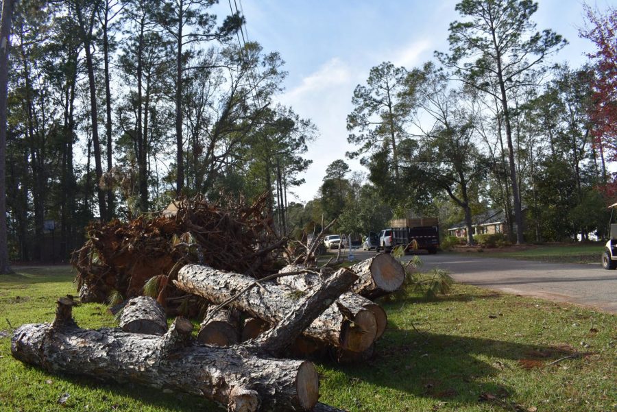 IN THE LIMBO: Limbs of trees stack up in peoples front lawns as the recovery process continues.