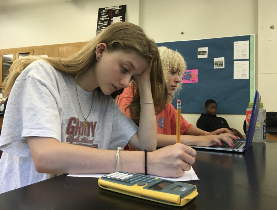 Because she has ADD, sophomore Carson Gray sometimes has trouble focusing during school. Her 504 plan is getting approved for the next school year. 