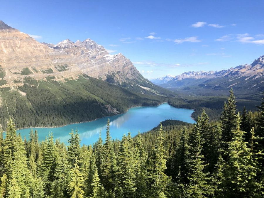 The Canadian National Parks are famous for their crystal blue waters. This photo pictures Peyto Lake, which resides in Banff National Park. It is one of the most famous lakes in the country. Years ago, a magnificent glacier reached the shore of this lake, but due to a number of factors, including climate change, the glacier has receded up the nearby mountains. 