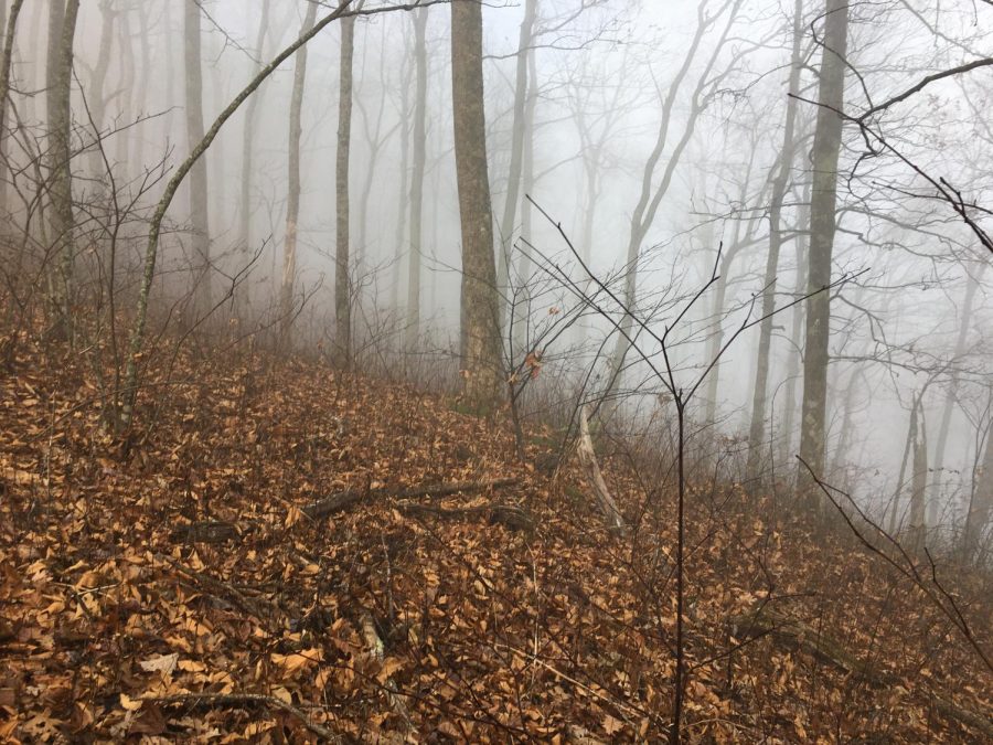 During coronavirus, hike the best trails in Georgia