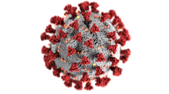 Coronavirus, which has spread across the globe, has not infected anyone in the Grady community. However, it has indirectly impacted their lives. 