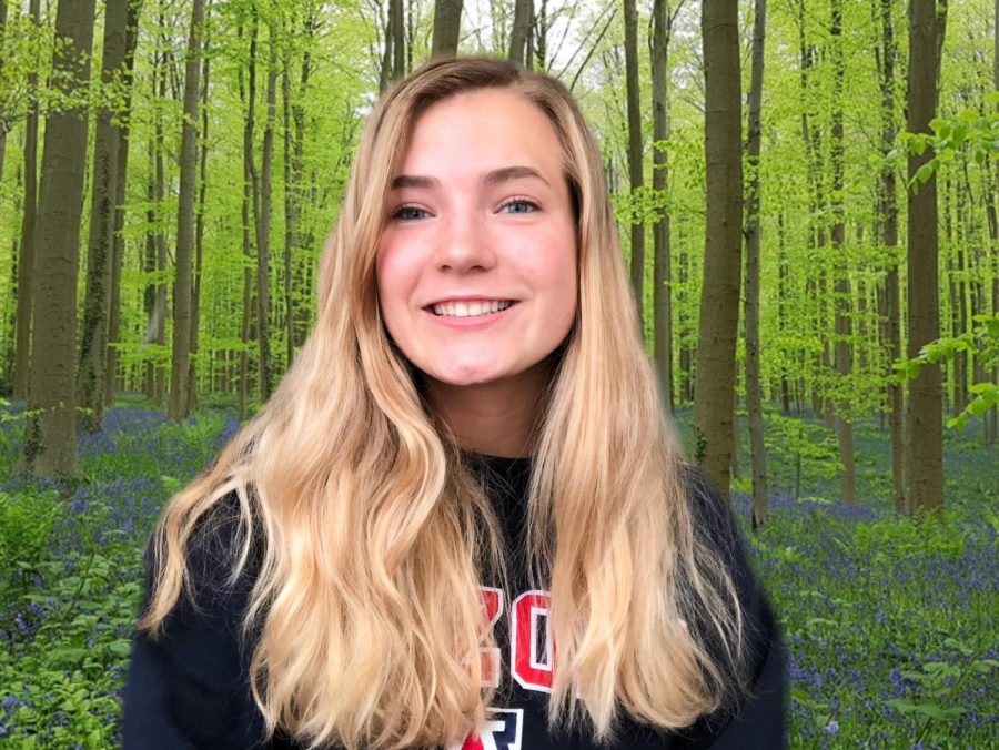 Cole and parker essay 08 image