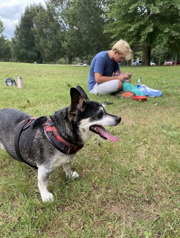 Will Charlop spends time with his friends and dog in Piedmont Park. He says that going to Piedmont Park is a great to meet up with friends when you cant go to festivals.