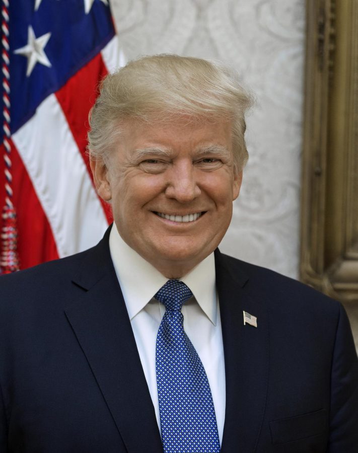 Official White House portrait of President Donald J. Trump circa. 2017.