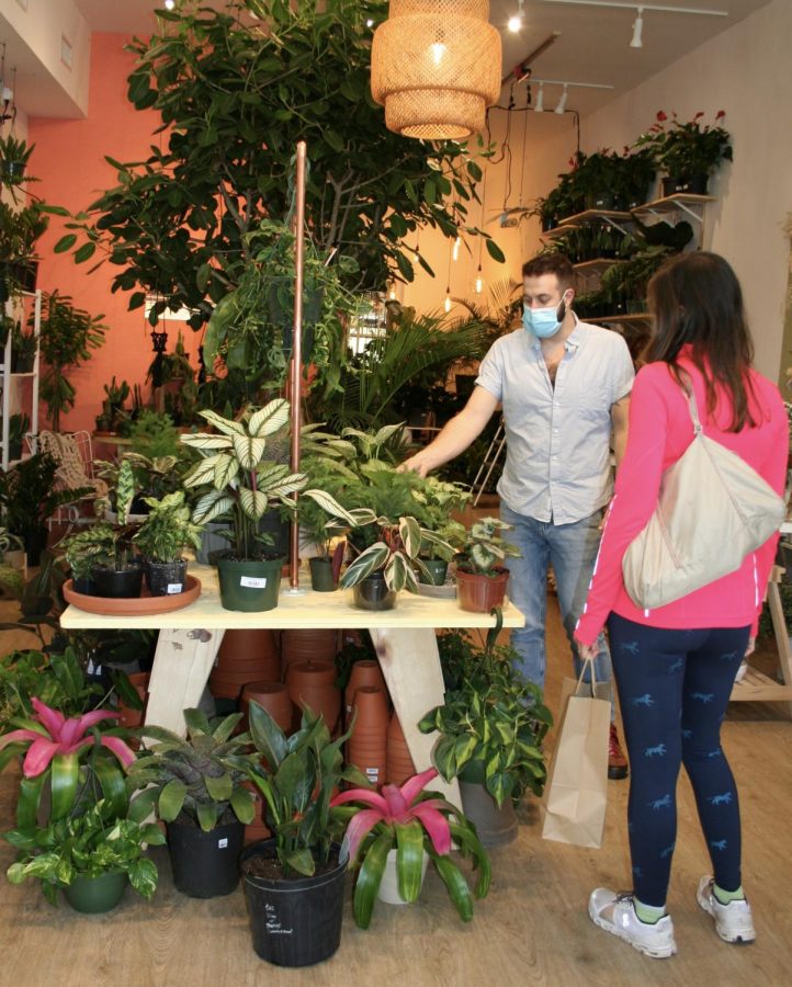 The owner of The Green Flamingo, Brad Scoggins shows a customer the plants in his store. The Green Flamingo is a shop in the Virginia-Highlands that recently opened a few weeks ago.