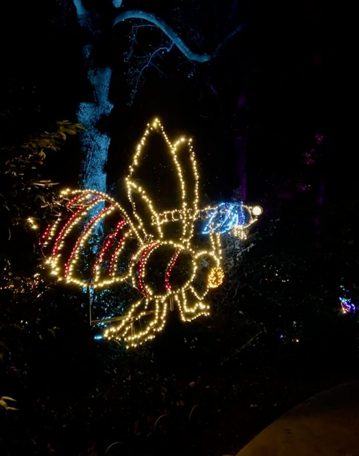 Garden Lights, Holiday Nights, an event that covers the Atlanta Botanical Garden in lights also had lights forming bees, dragonflies and other insects.