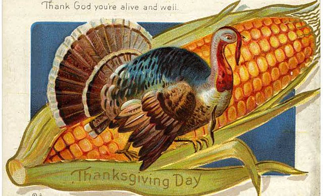 Turkey+is+a+Thanksgiving+Day+staple%2C+enjoyed+by+families+nationwide.+But%2C+the+turkey+industry+has+multiple+fallbacks+some+people+are+unaware+of.