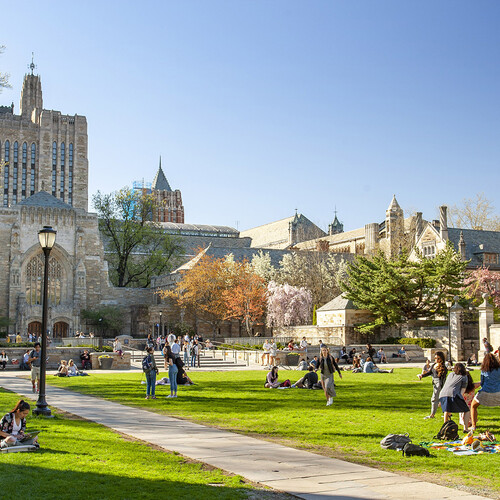 Yale University student sues the school in potential class action