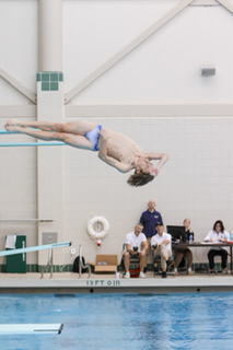 McCoy Lyman dives at the state championships. 
