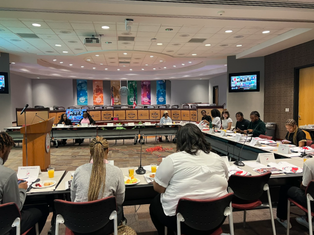 The APS Student Advisory Council discusses ideas at their July meeting.