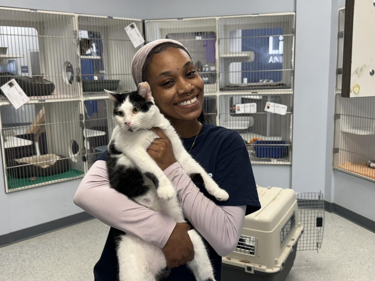 Shanice Munroe works with cats and dogs at Lifeline Animal Shelter. They are currently holding a year-long campaign to help more senior and long-stay pets. 