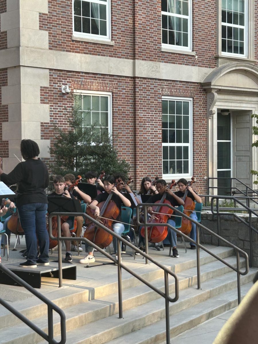 The cello section watches on as they wait to play their part in the performance.