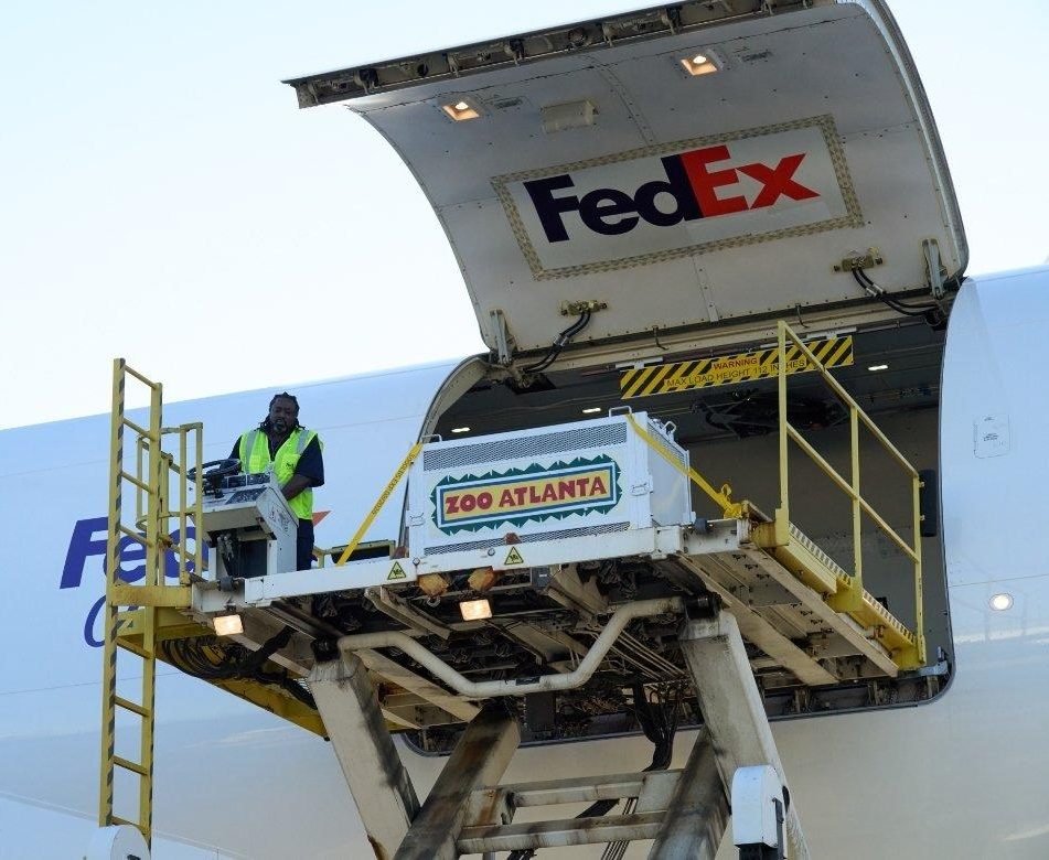 The pandas made their journey in a specialized Boeing 777 aircraft donated by FedEx and dubbed the "FedEx Panda Express,” for the trip to China.