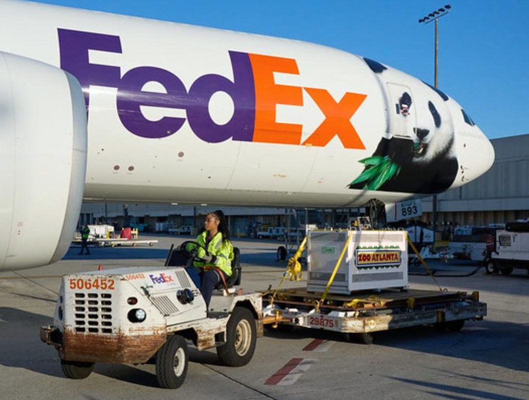 Giant pandas at depart for China after 25 years at Zoo Atlanta