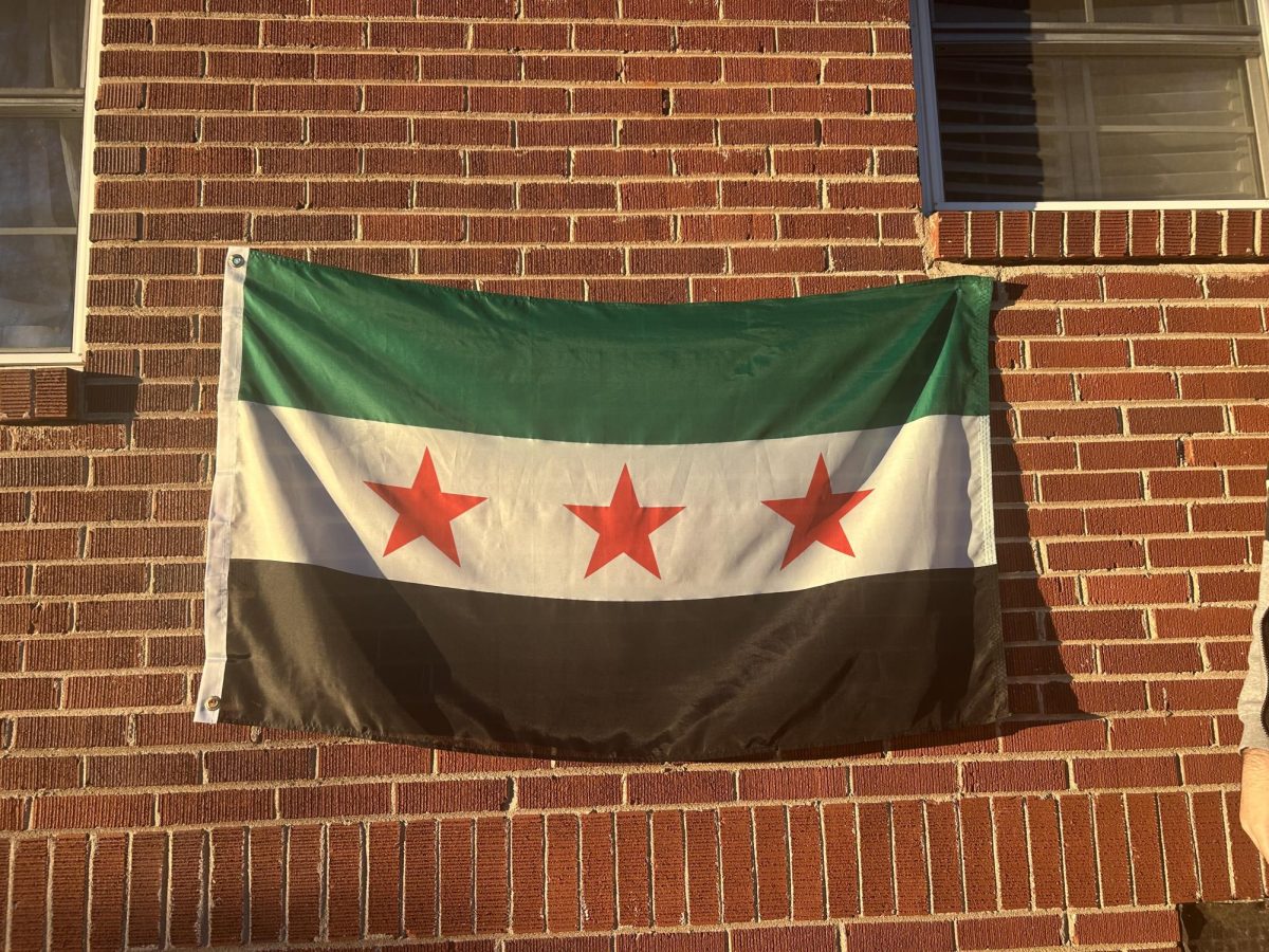 SYRIAN PRIDE: People were able to hang the new Syrian flag, which represents the rebel forces. 