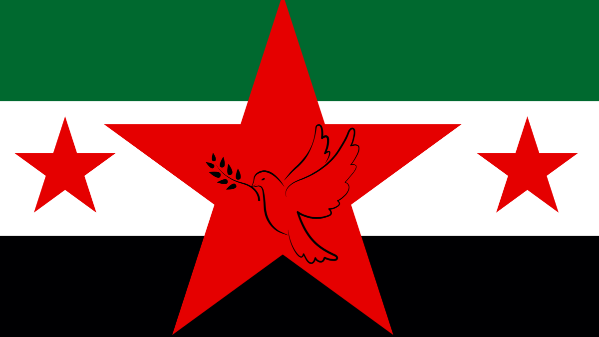 NEW FLAG: After the liberation of Syria, the flag used by the rebel forces is planned to become the new national flag. 