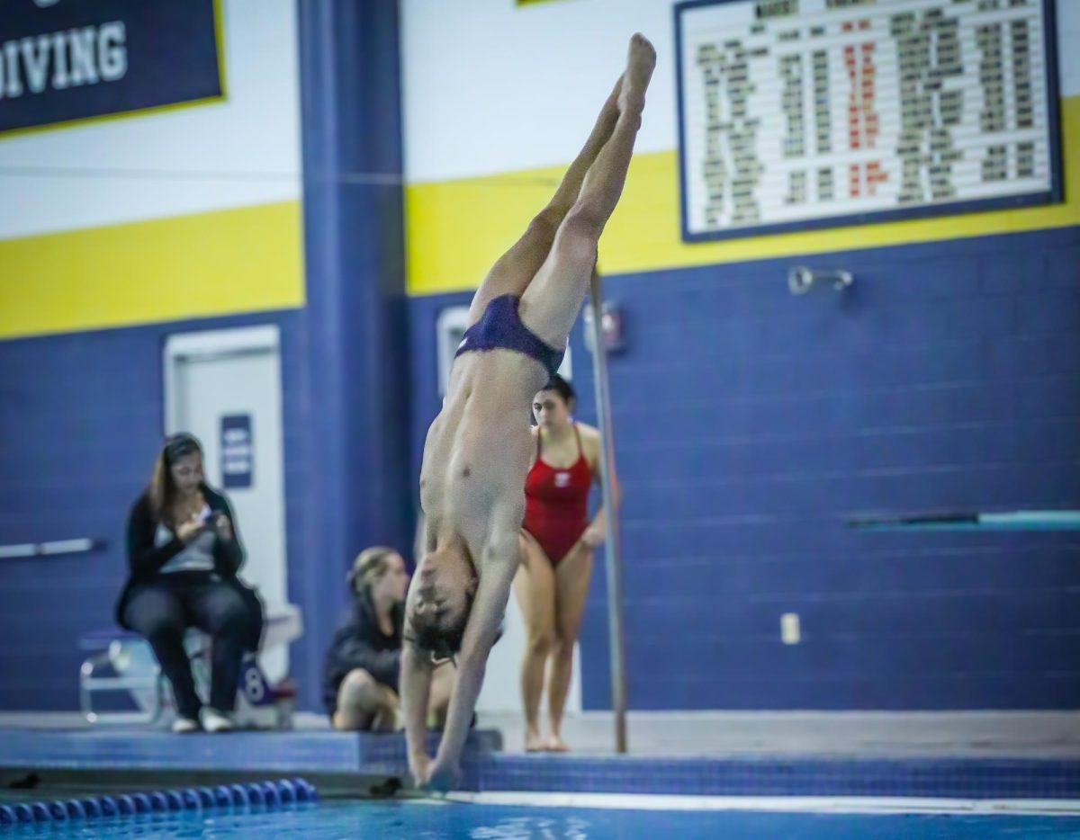 Girls and boys dive team takes on City Championships on Jan. 27