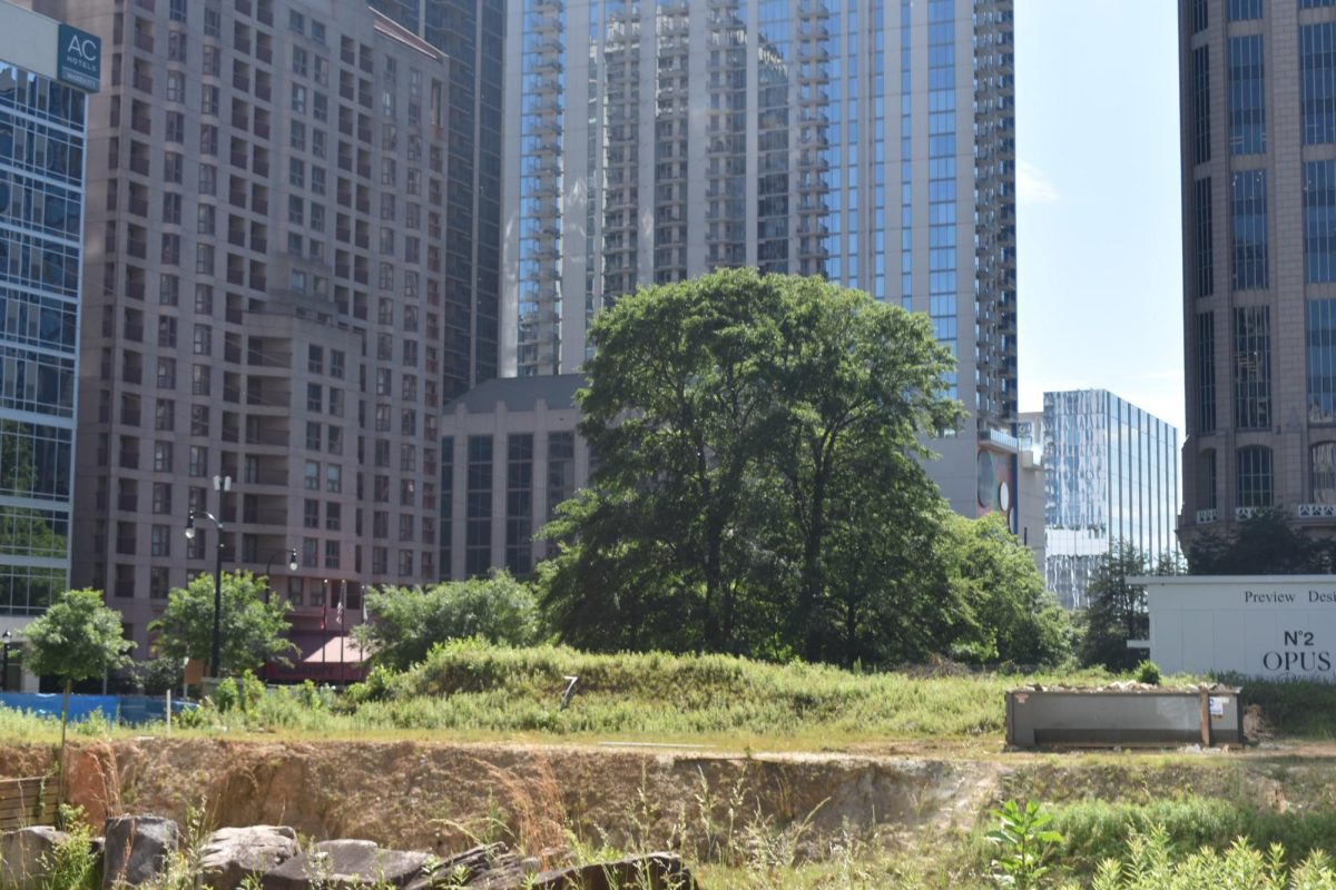 Located at 19 48th Street, this lot was originally dug for the Opus Place skyscraper. Now vacant again, the Midtown International District hopes to turn it into a permanent park.
