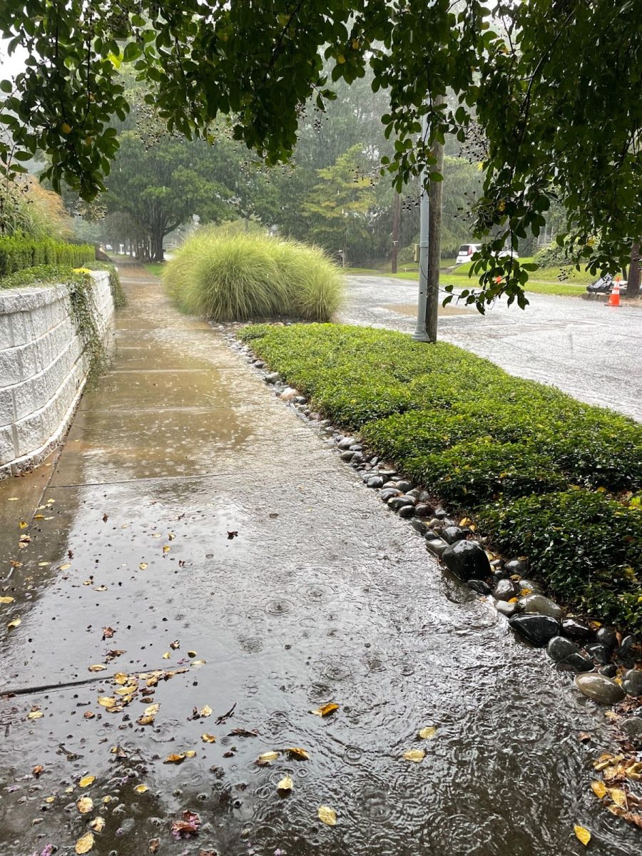 FLOODING: Rainwater is covering the sidewalk and spilling onto the street, making it difficult for pedestrians to walk safely. Storms in Atlanta have intensified over the past few months, and now flooding happens more often than it used to.