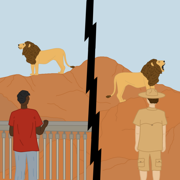 Head to Head: Is it ethically justifiable to keep animals in zoos?