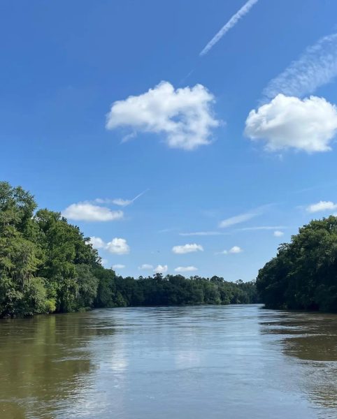 The Flint River is a 344 to 349-mile-long river in Georgia, originating near Atlanta and flowing south to Lake Seminole, where it joins the Chattahoochee to form the Apalachicola River.
