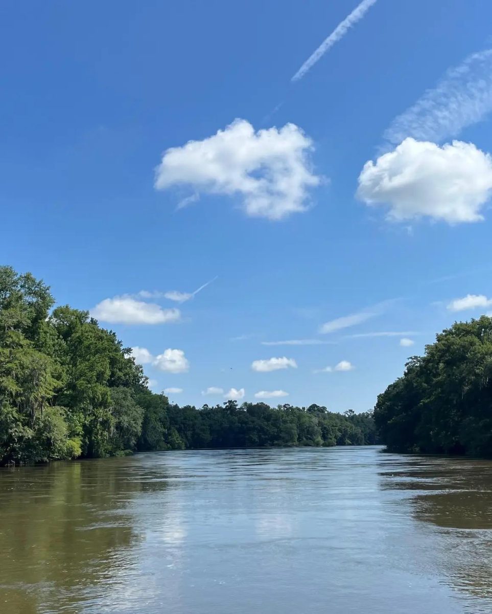 The Flint River is a 344 to 349-mile-long river in Georgia, originating near Atlanta and flowing south to Lake Seminole, where it joins the Chattahoochee to form the Apalachicola River.
