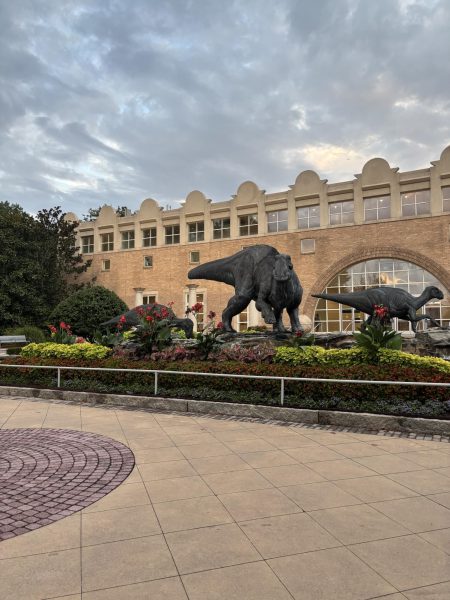 FERNBANK’S FOSSILS: In the new “Discovery Zone” exhibit at Fernbank Museum of Natural History, visitors
can learn about the environment through observing authentic objects, live animals, and interactives.