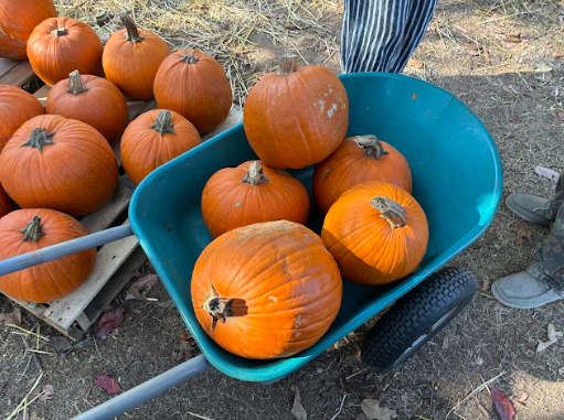 WHEELING LOVE: This organization uses profits from pumpkin sales to fund scholarships for students.