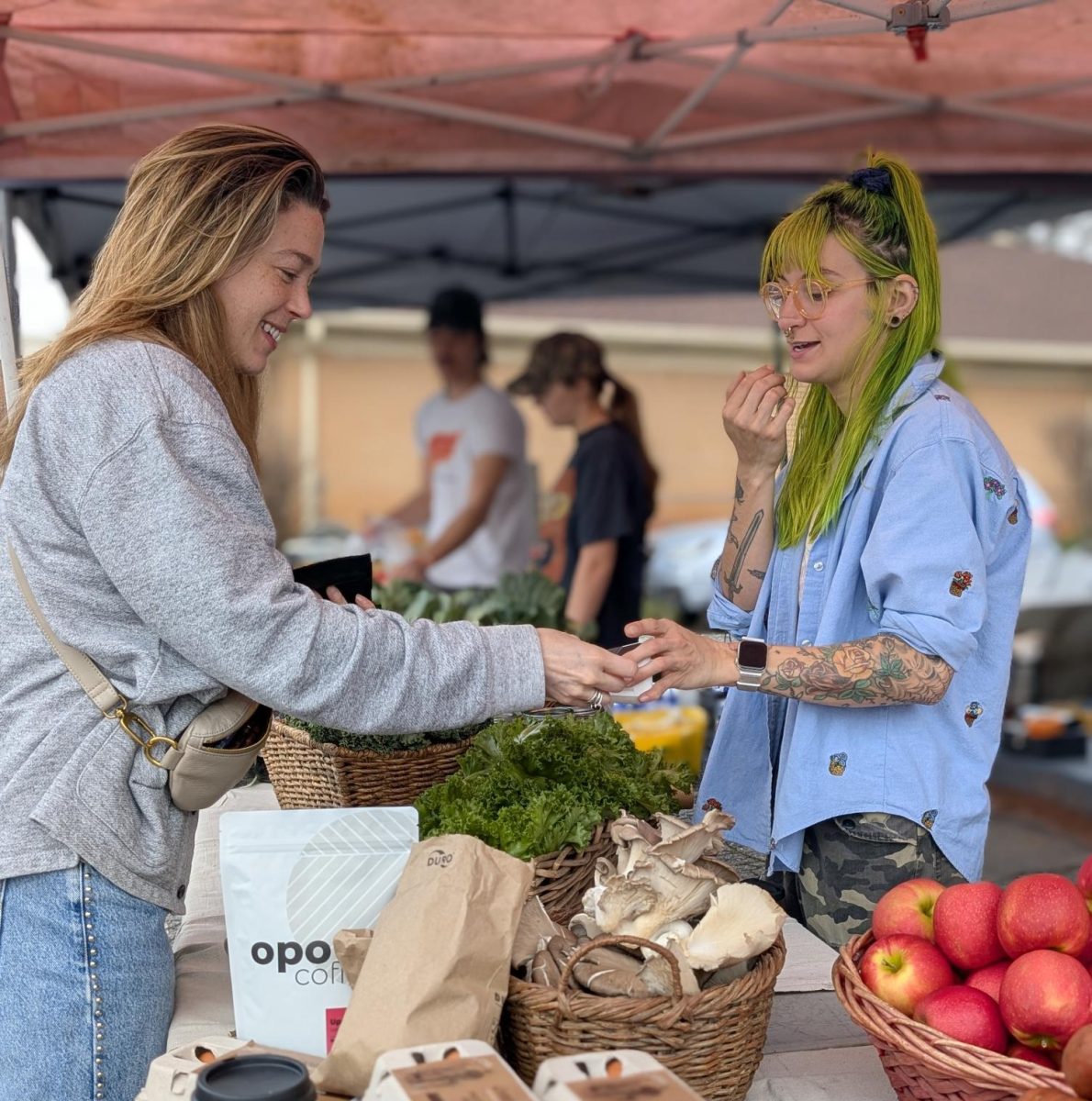 COMMUNITY CO-OPERATION: Unearthing Farms is a co-op founded and run by people in the Edgewood and Kirkwood neighborhoods.  (CREDIT: Katie Kissel)