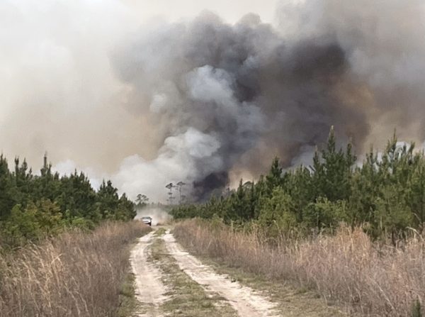 HIGH PRIORITY FIRES: The Highway 82 fire is located in Brantley County and began on April 20th. It is one of two large fires in Georgia, the other being the Pineland road fire. (CREDIT: Georgia Forestry Commission)